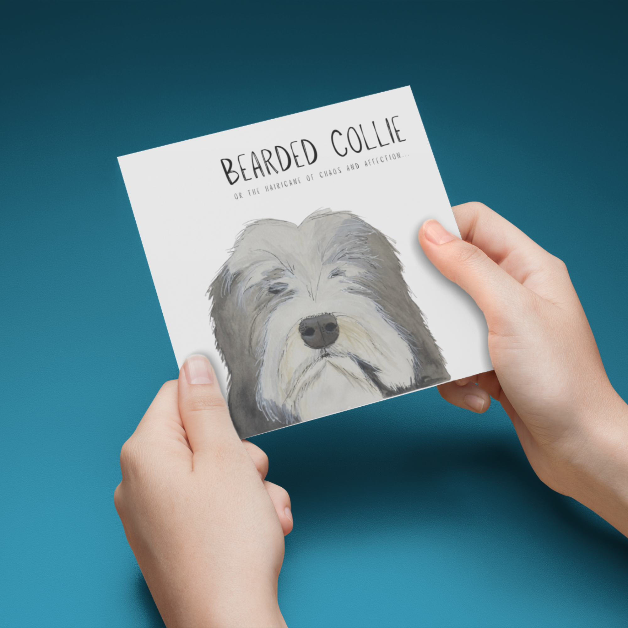 Hairy Wishes &amp; Tailspins: Bearded Collie Greeting Card