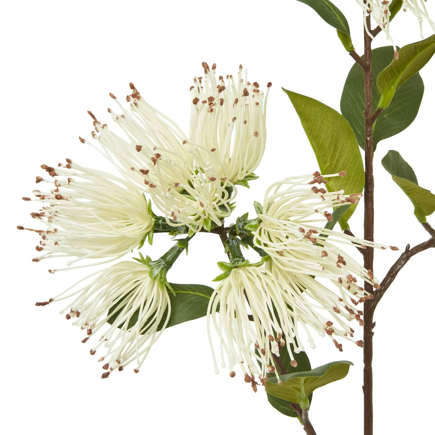 Cream Faux Protea Flower Spray