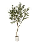 Tall Olive Tree in White Pot Mediterranean Style