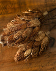 Dried Protea bouquet in earthy tones, preserved floral arrangement for rustic or modern decor  by Sostter at brixbailey.com