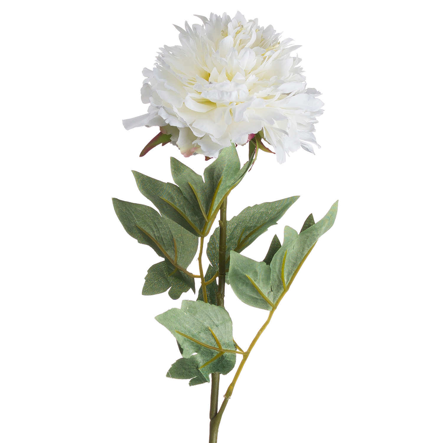 White Peony Bouquet for Effortless Style