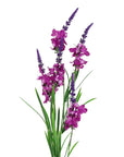 Pack of 6 x Artificial Flowers Dark Pink Larkspur Artifical Stem 80cm-3