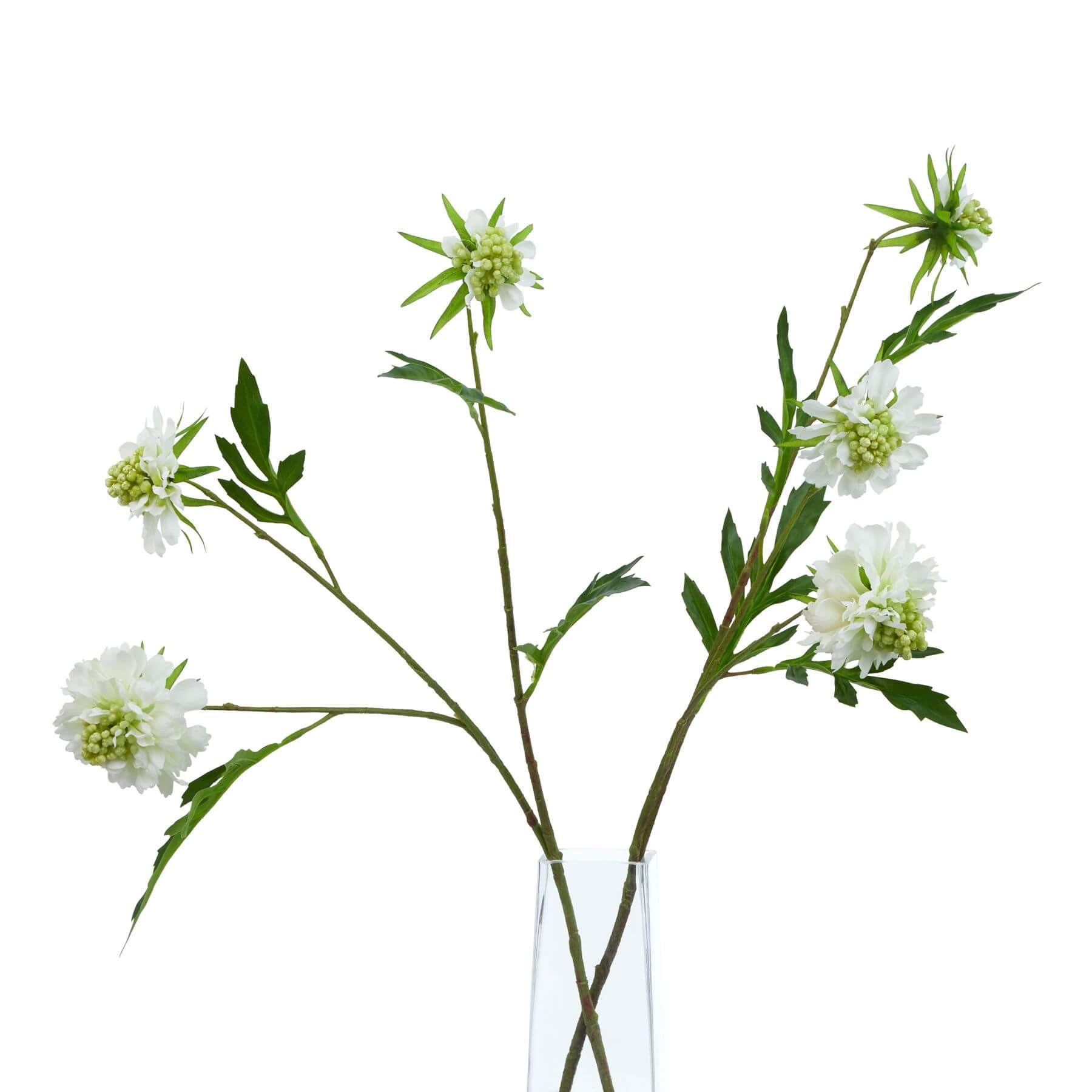White Scabious Artificial Flower Stem