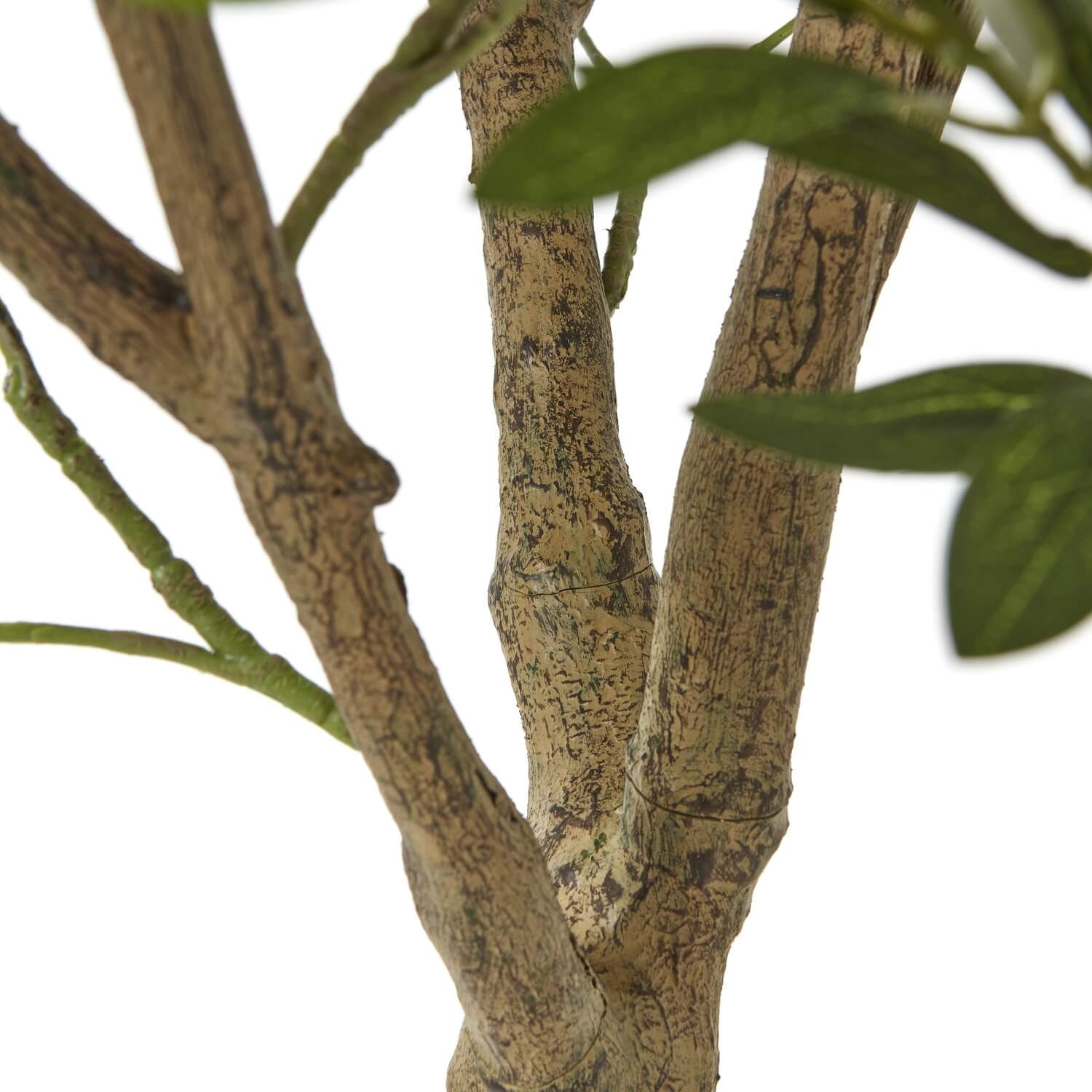 Tall Olive Tree in White Pot Mediterranean Style