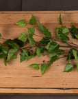 Lifelike green branch spray with lush foliage, 128 cm tall, perfect for seasonal home decor arrangements by RoomLondon at brixbailey.com