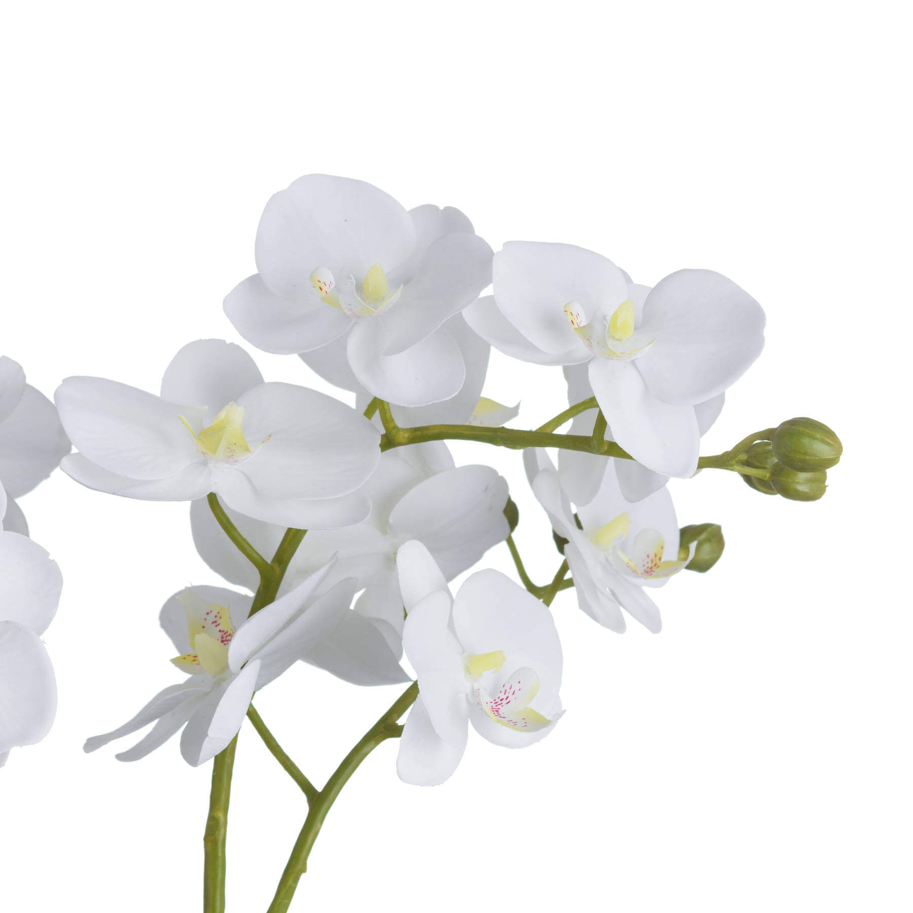 White artificial orchid in glass pot, lifelike blooms, elegant home decor centerpiece by Sostter at brixbailey.com