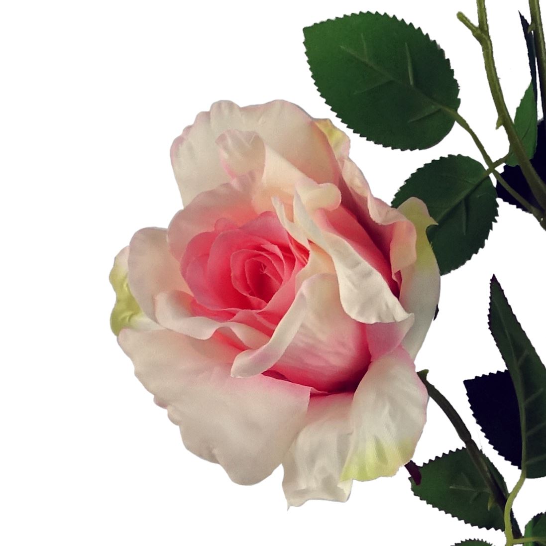 Pack of 6 x 80cm Artificial Pink Rose Stem - 18 flowers-3