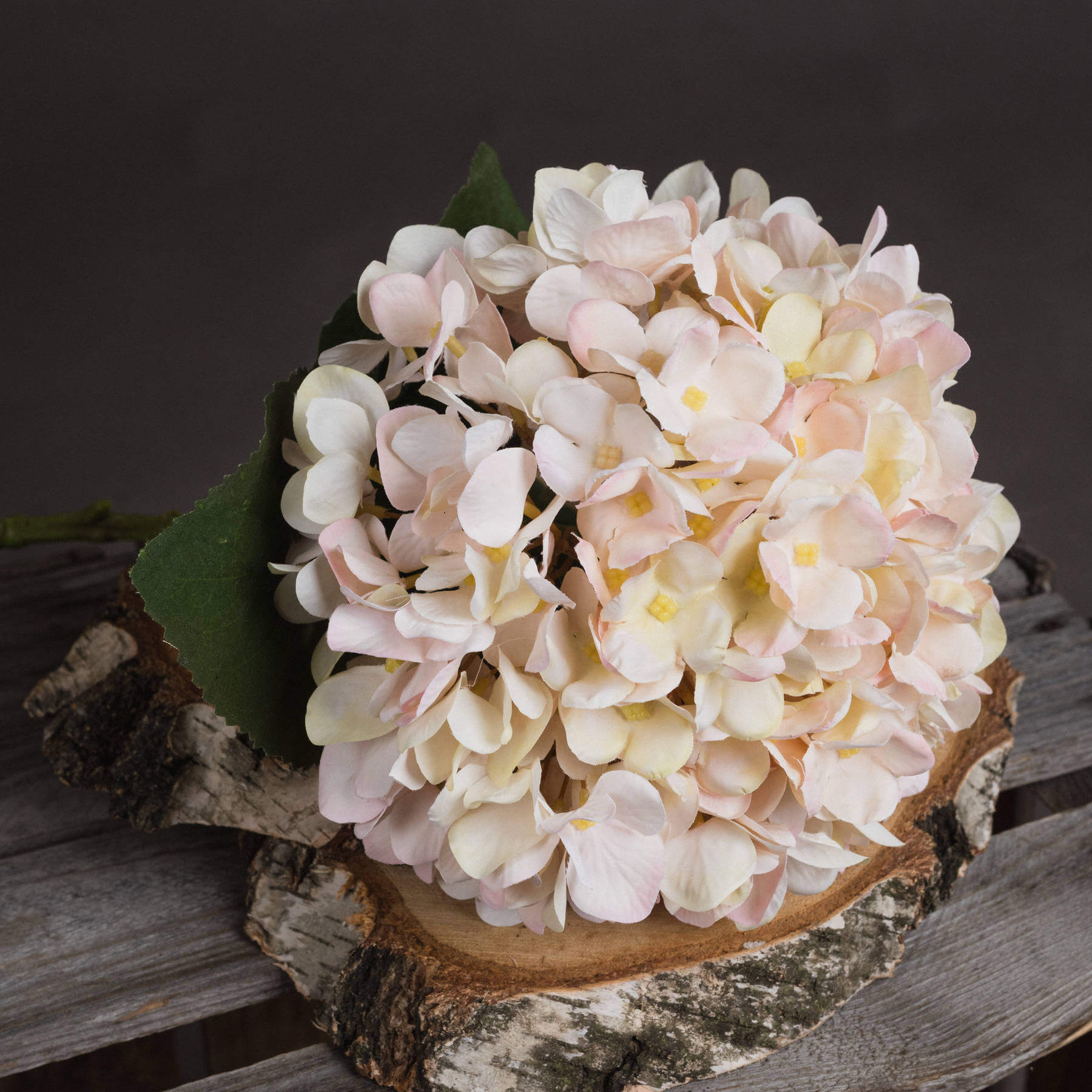 Autumn White Hydrangea Stem with Blush Tones