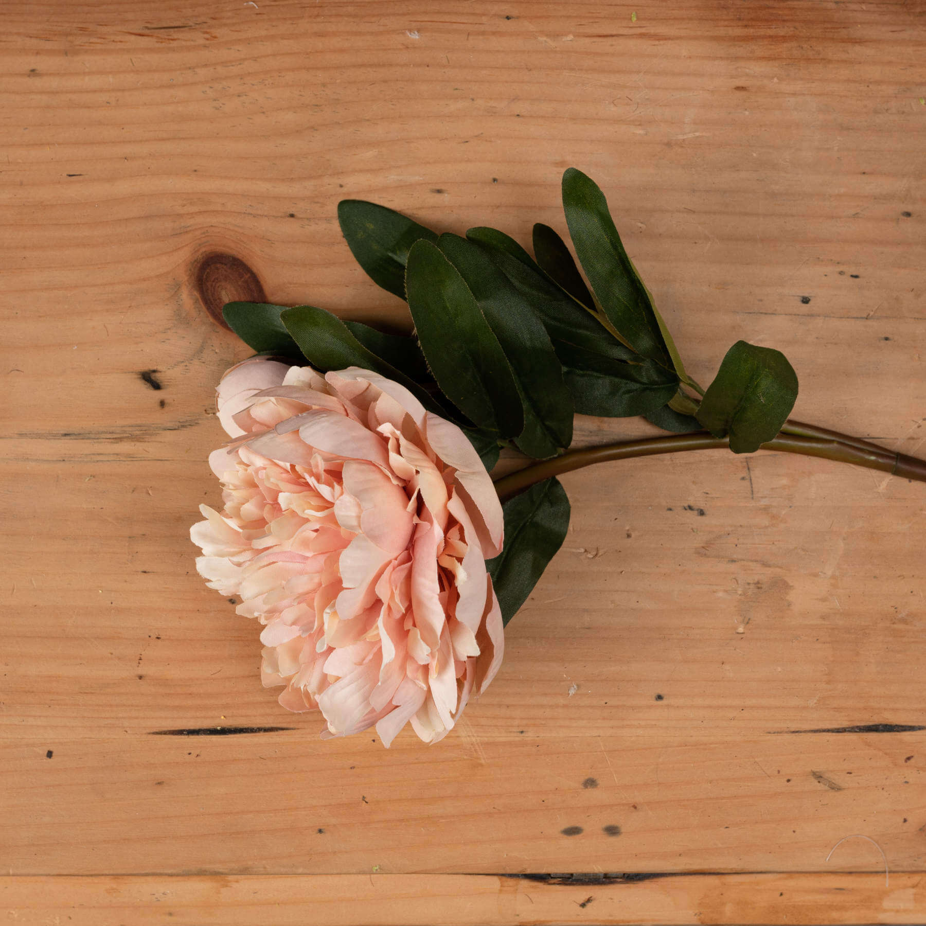 Blissful Peach Peony Rose Bouquet | Fresh Floral Elegance
