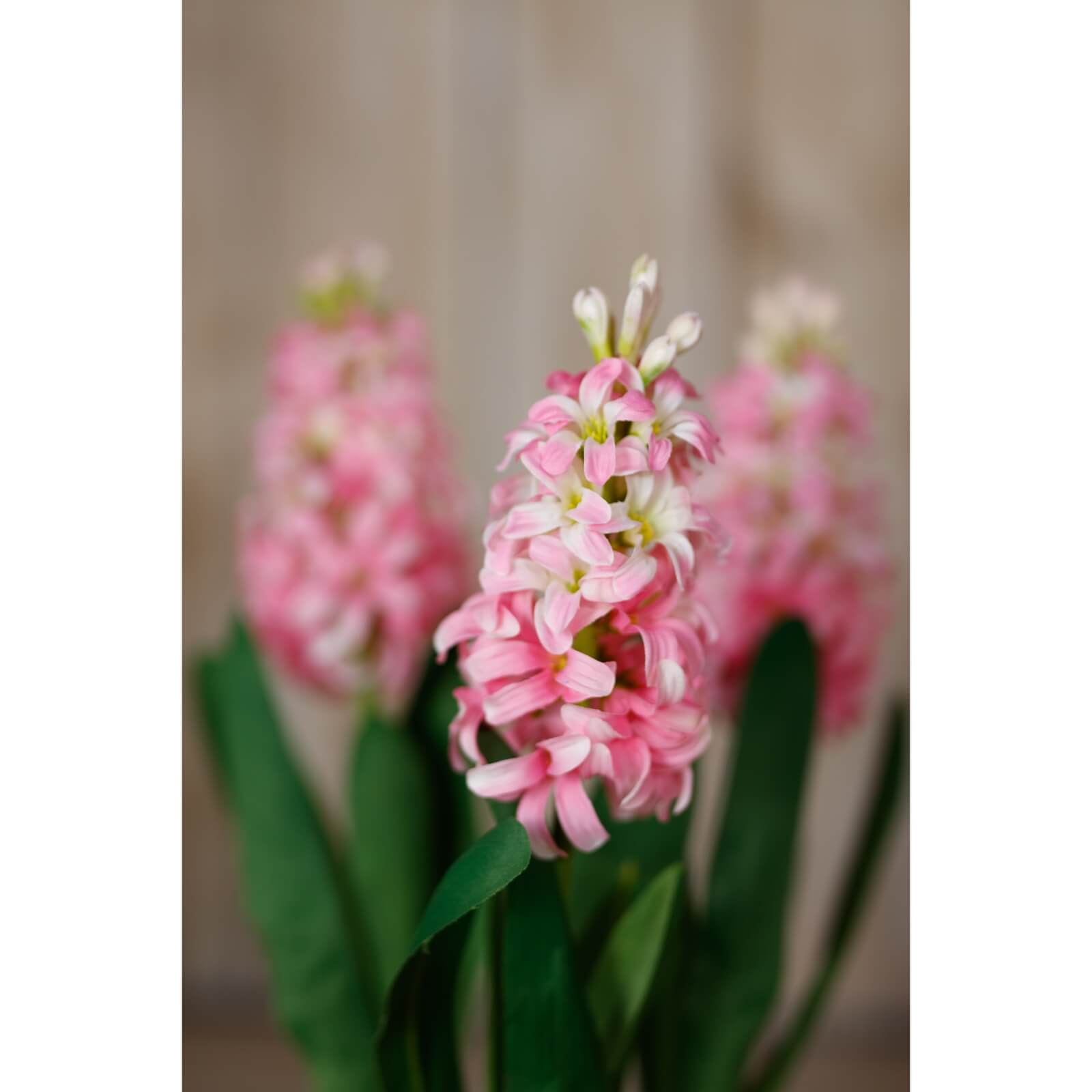 Luxury Pink Hyacinth Stem | Elegant Floral Decor