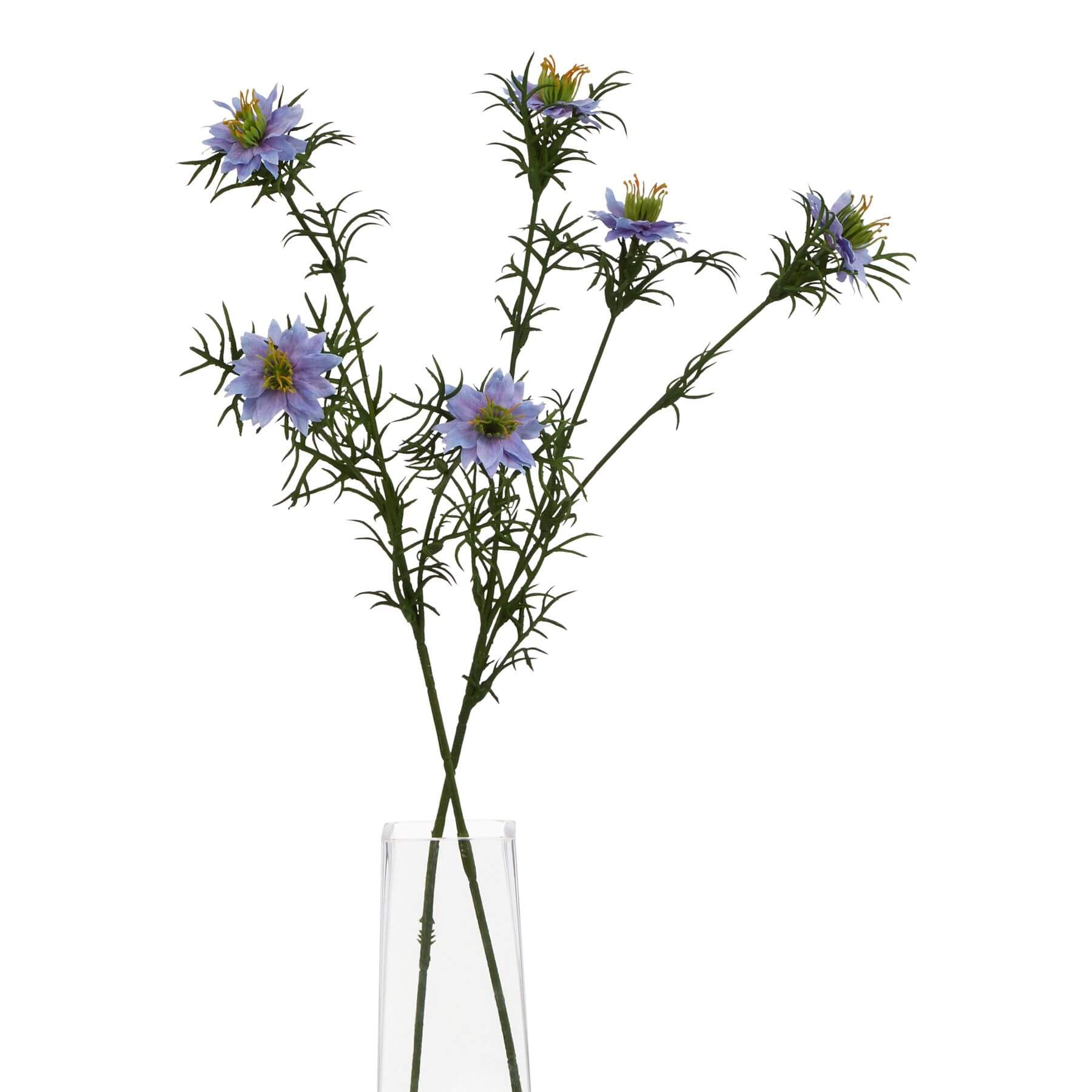 Purple Nigella Love In A Mist Stem