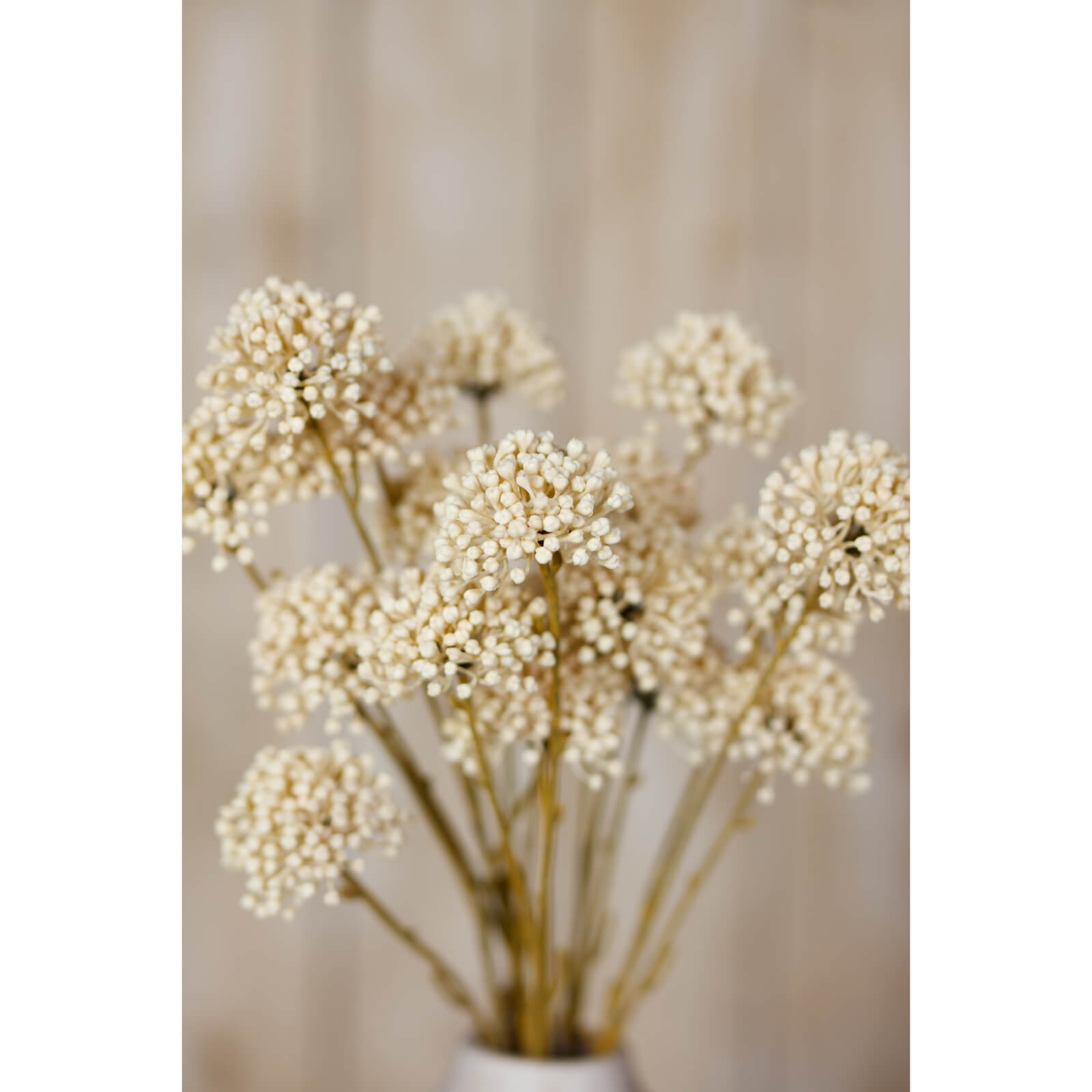 Cream Faux Allium Flower Stem