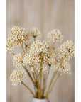 Cream Faux Allium Flower Stem