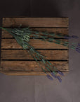 French Lavender Artificial Stem Life Like and Forever Fresh