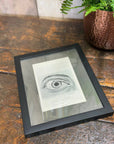 Framed Antique Anatomy Print 1920s Medical Book Plate Wall Art Picture D