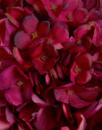 Lifelike ruby red hydrangea stem with hand-painted petals, 42cm tall, perfect for home decor or floral arrangements by Sostter at brixbailey.com