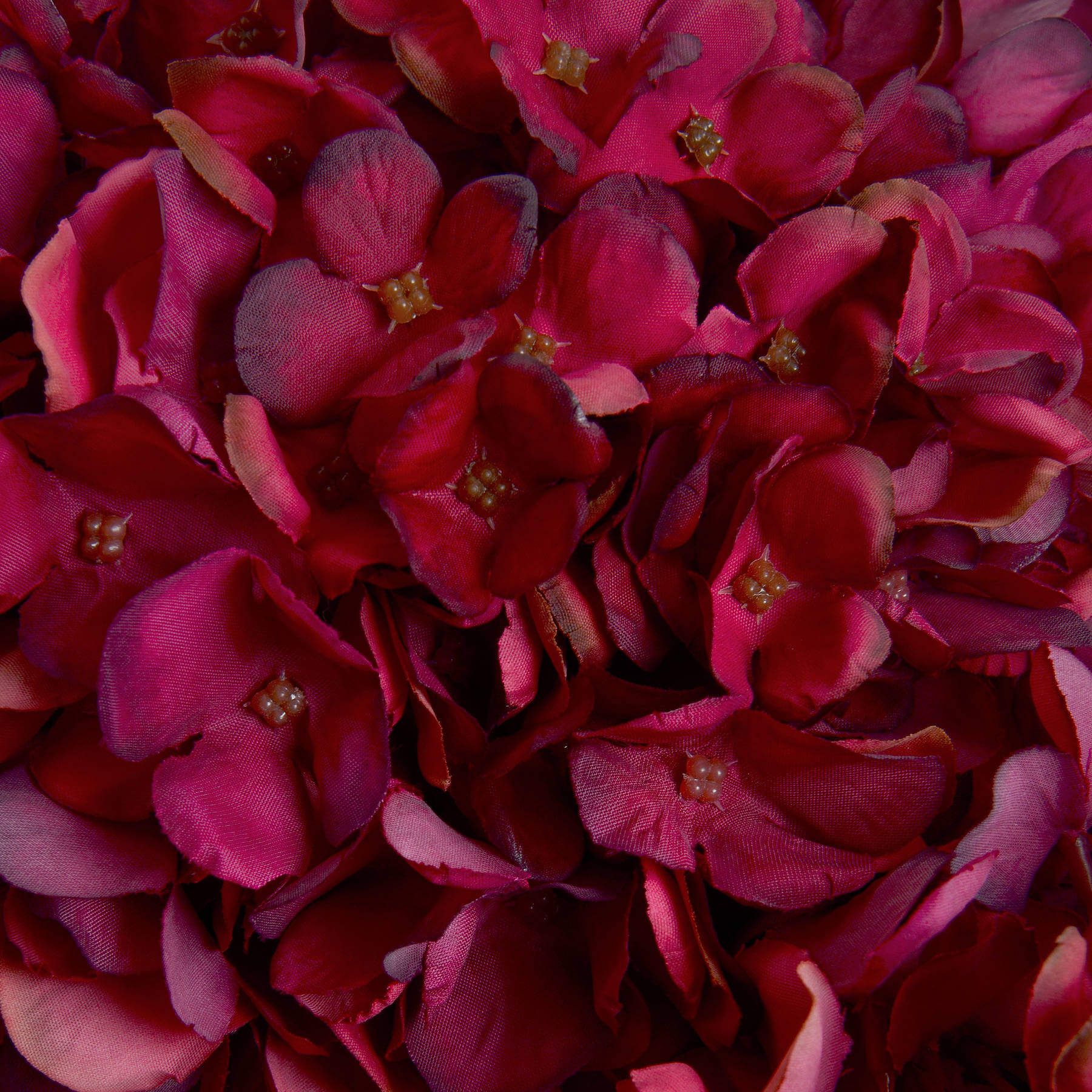 Autumn Ruby Hydrangea Stem with Lush Fall Blooms