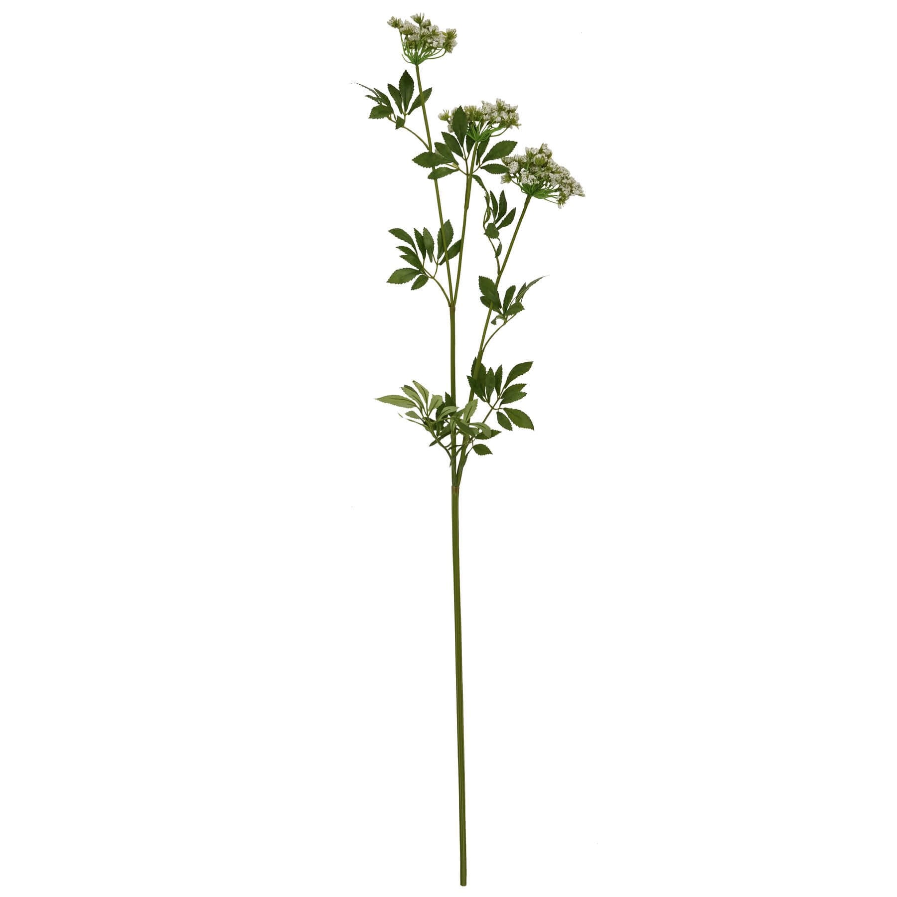 Faux White Cow Parsley Stem With Green Detail