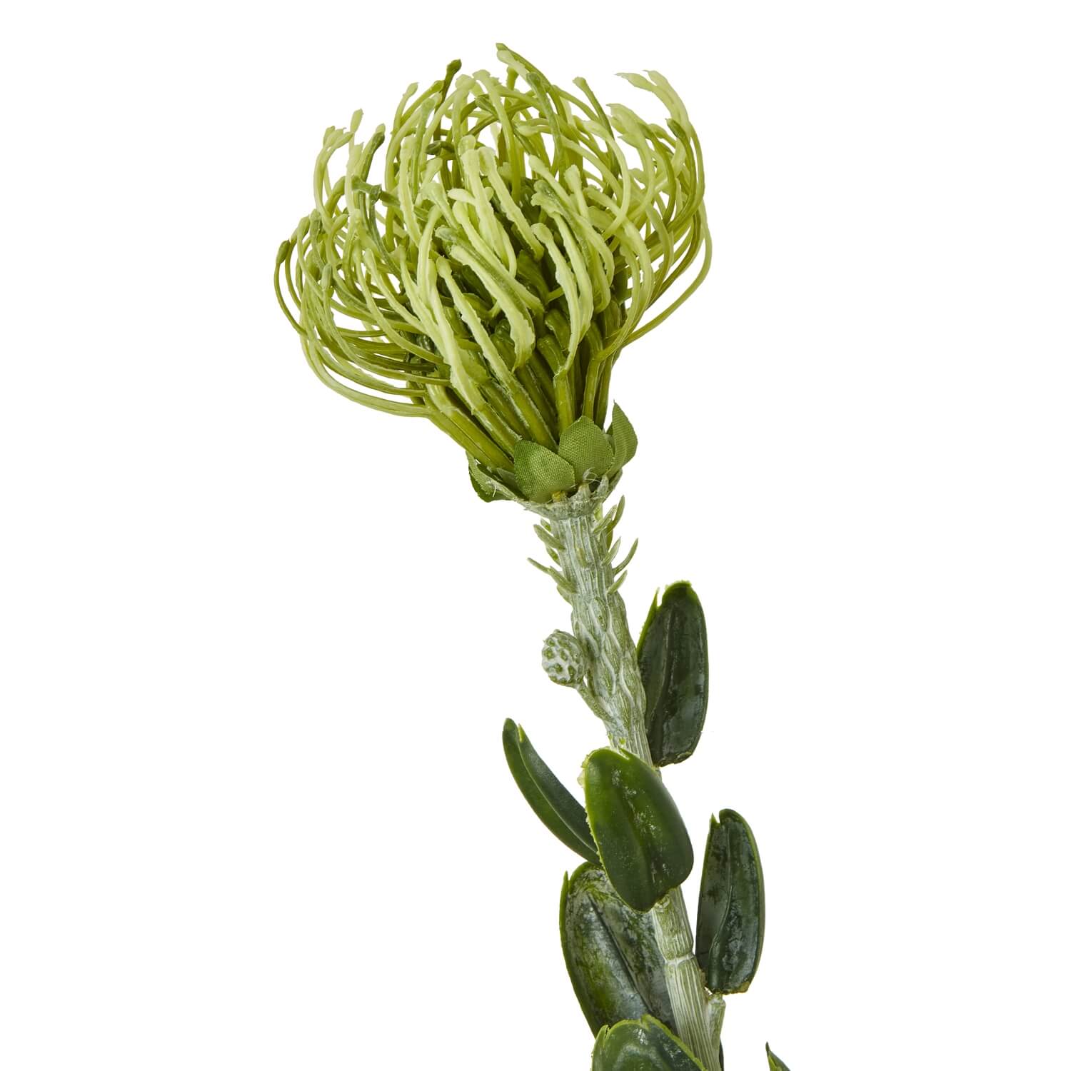 Green Pincushion Protea Faux Flower Stem