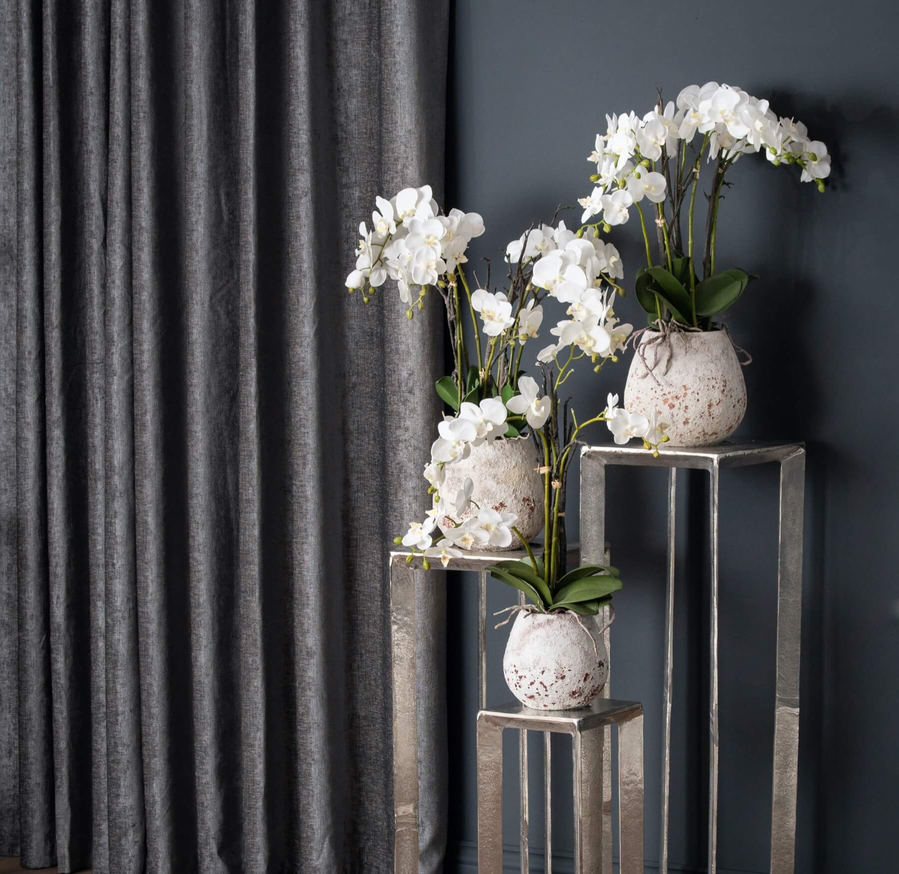 Elegant White Orchid in Decorative Stone Pot | Fresh &amp; Stylish