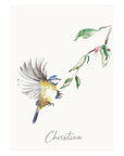 Personalised Blue Tit Garden Bird Wall print
