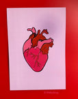 Pink and red anatomical heart hand drawn art print in A5 or A4