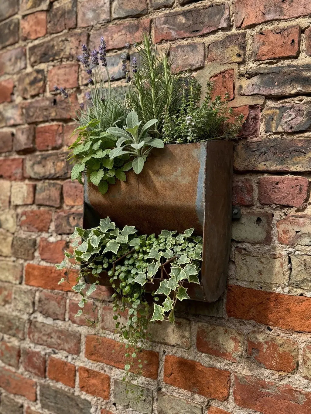 Vintage Wall Mounted Metal Planter Rustic Garden Herb Flower Holder Plant Pot