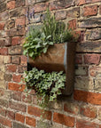Vintage Wall Mounted Metal Planter Rustic Garden Herb Flower Holder Plant Pot