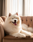 Samoyed Cushion Cover: Everyone’s Friend, Even the Burglar – Add Some Fun to Your Couch!