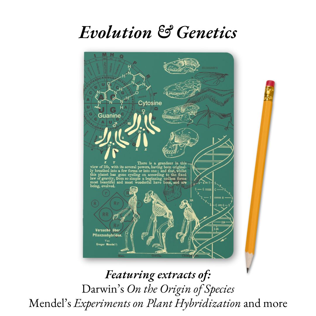 The Living Code: Anatomy, Neuroscience, Evolution &amp; Genetics