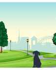 Dog in Nature Greetings Card