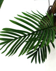 Areca Palm Artificial Tree 150cm  - Realistic plant by Botanik-3