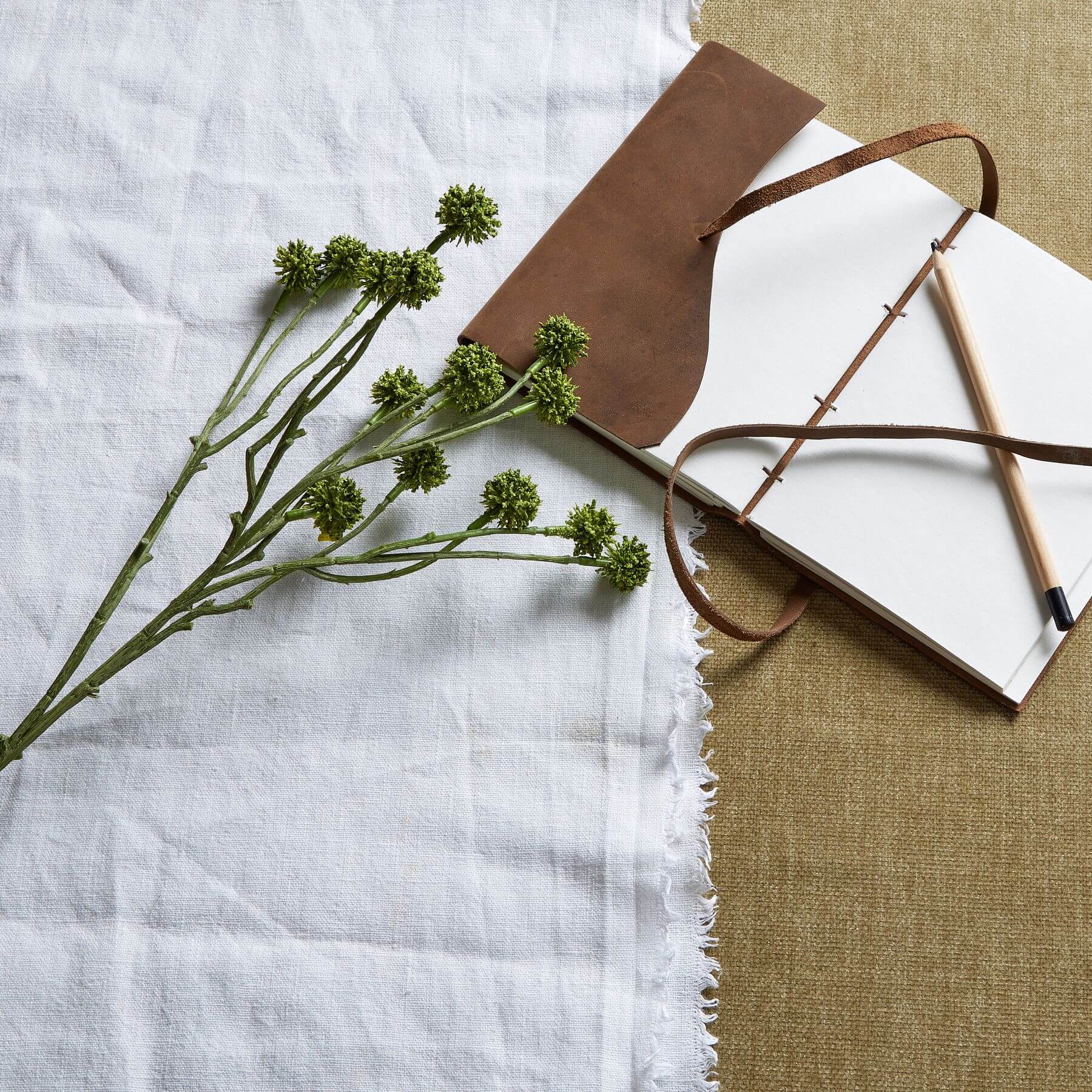 Fresh Green Craspedia Stems | Natural Floral Decor