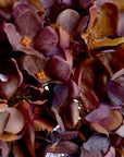 Autumn Coffee Hydrangea Stem Faux Flower Décor