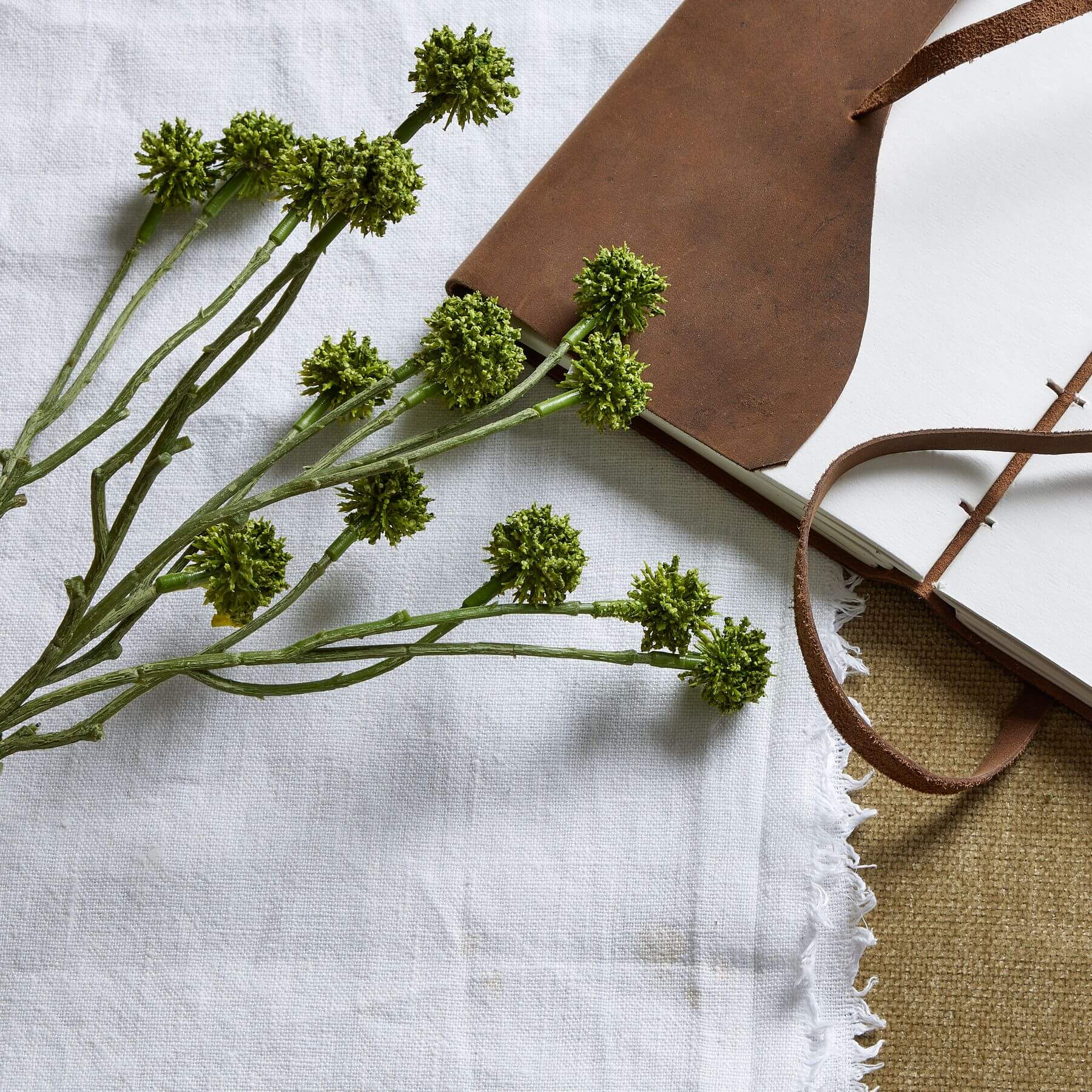 Fresh Green Craspedia Stems | Natural Floral Decor
