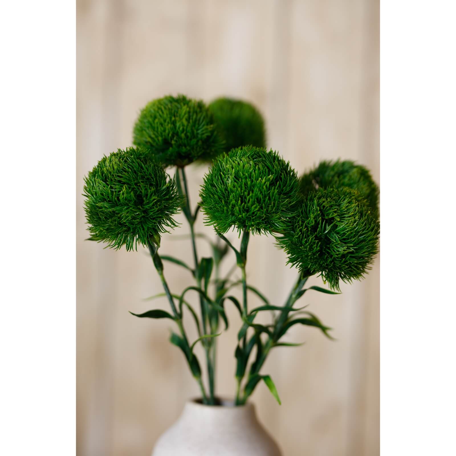 Lush Dark Green Dianthus Stem | Fresh Floral Elegance