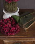 Autumn Ruby Hydrangea Stem with Lush Fall Blooms