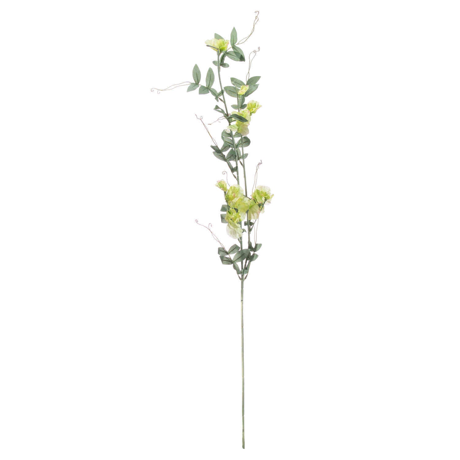 Sweet Pea Scented Trail Candle | Fresh Floral Aroma