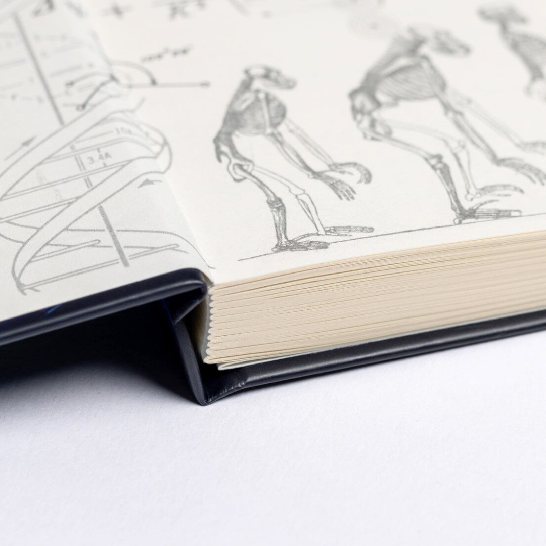Neuroscience A5 Hardcover