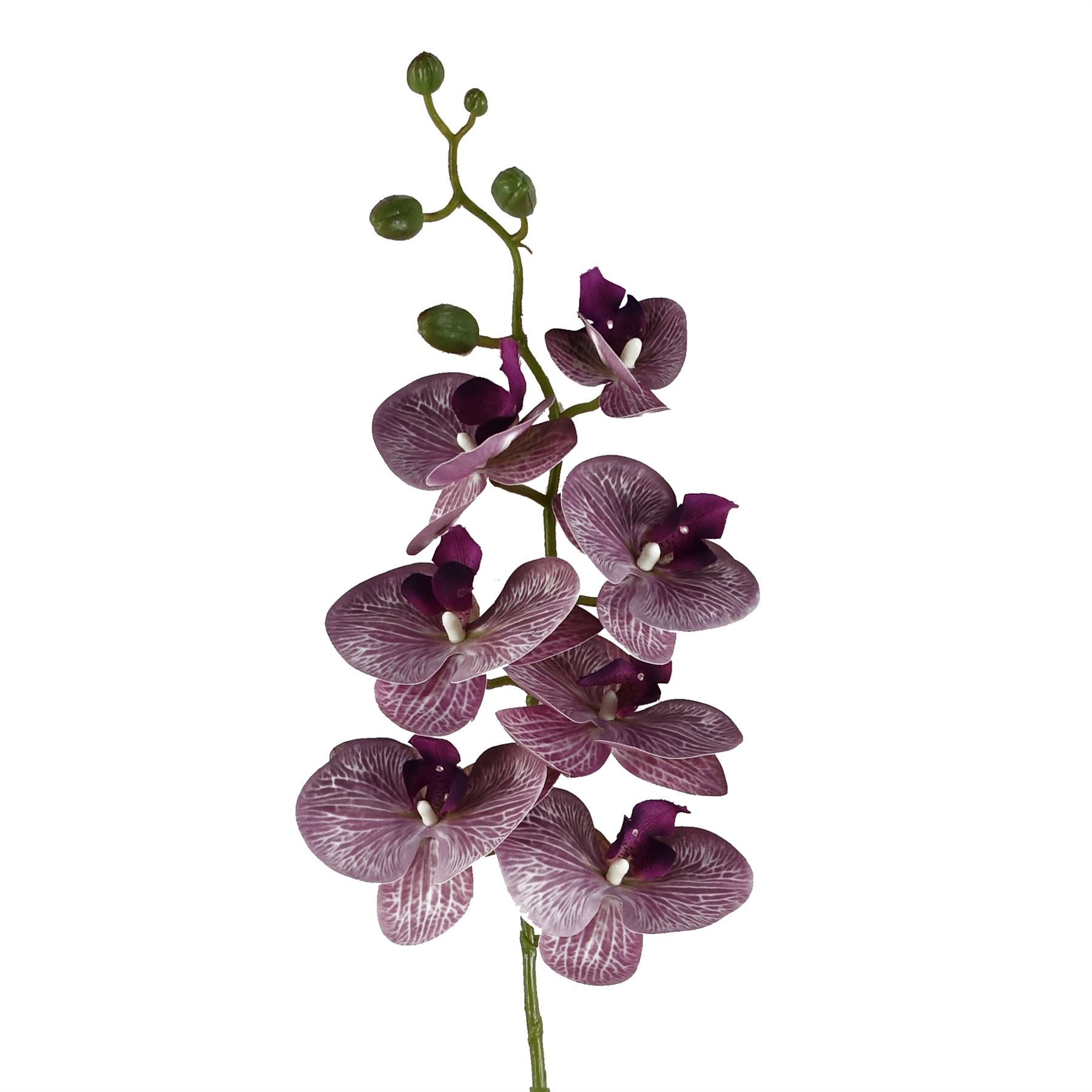 Pack of 6 x Artificial Flowers Phalaenopsis Orchid Purple Stem 100cm-2