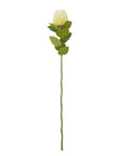 Cream Banksia Artificial Flower Stem