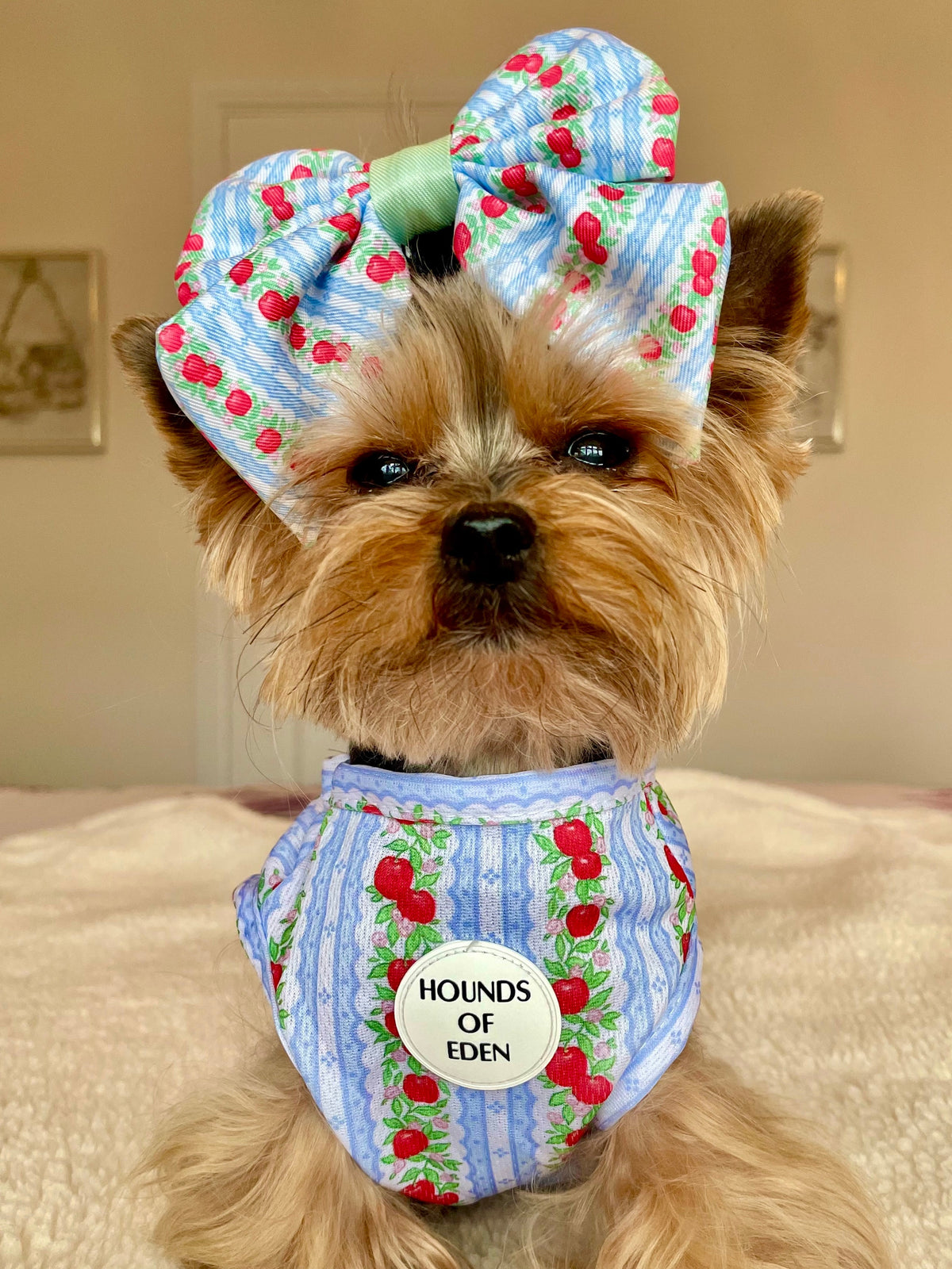 Eden's Orchard Dog Cooling Vest