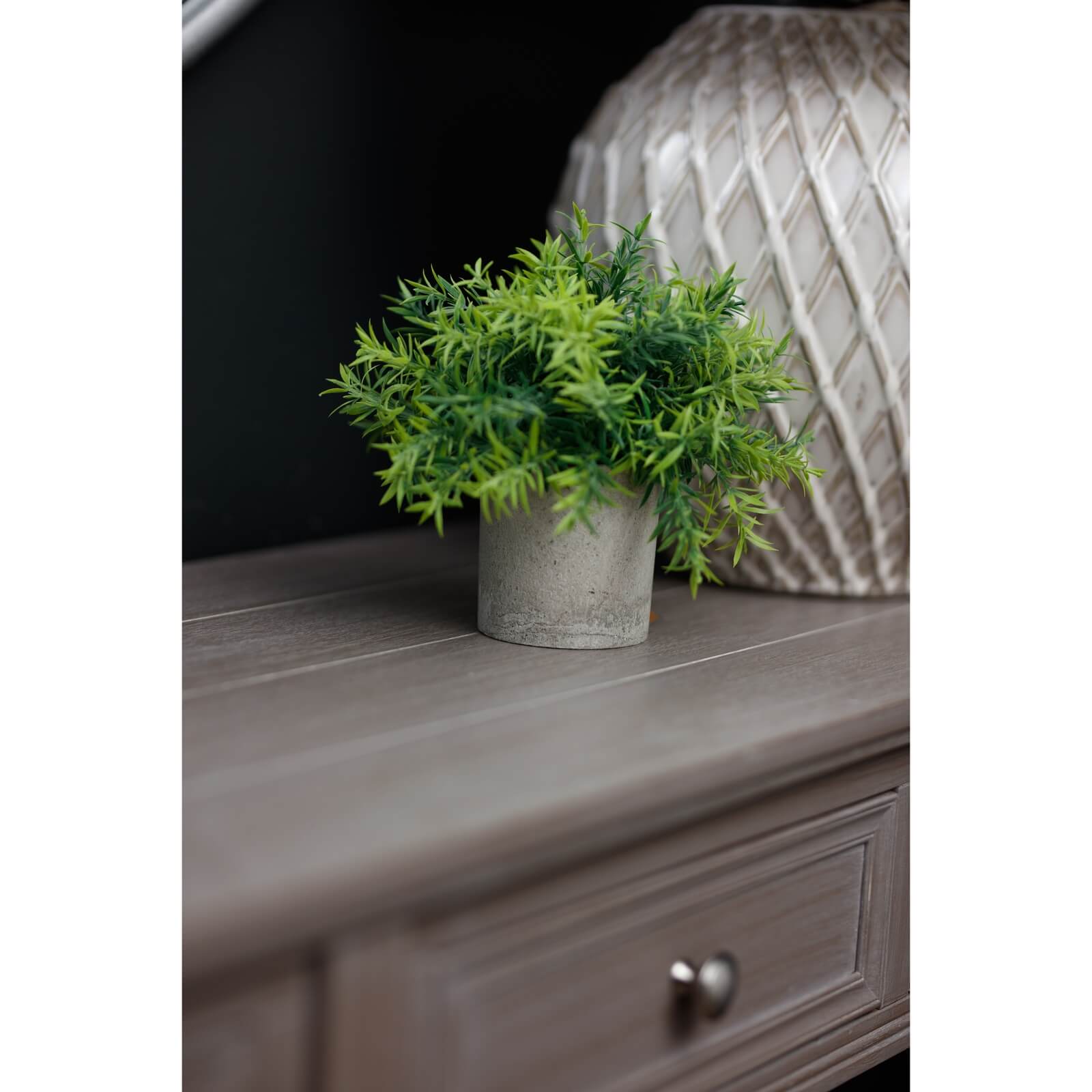 Mini Bamboo Plant in Grey Pot