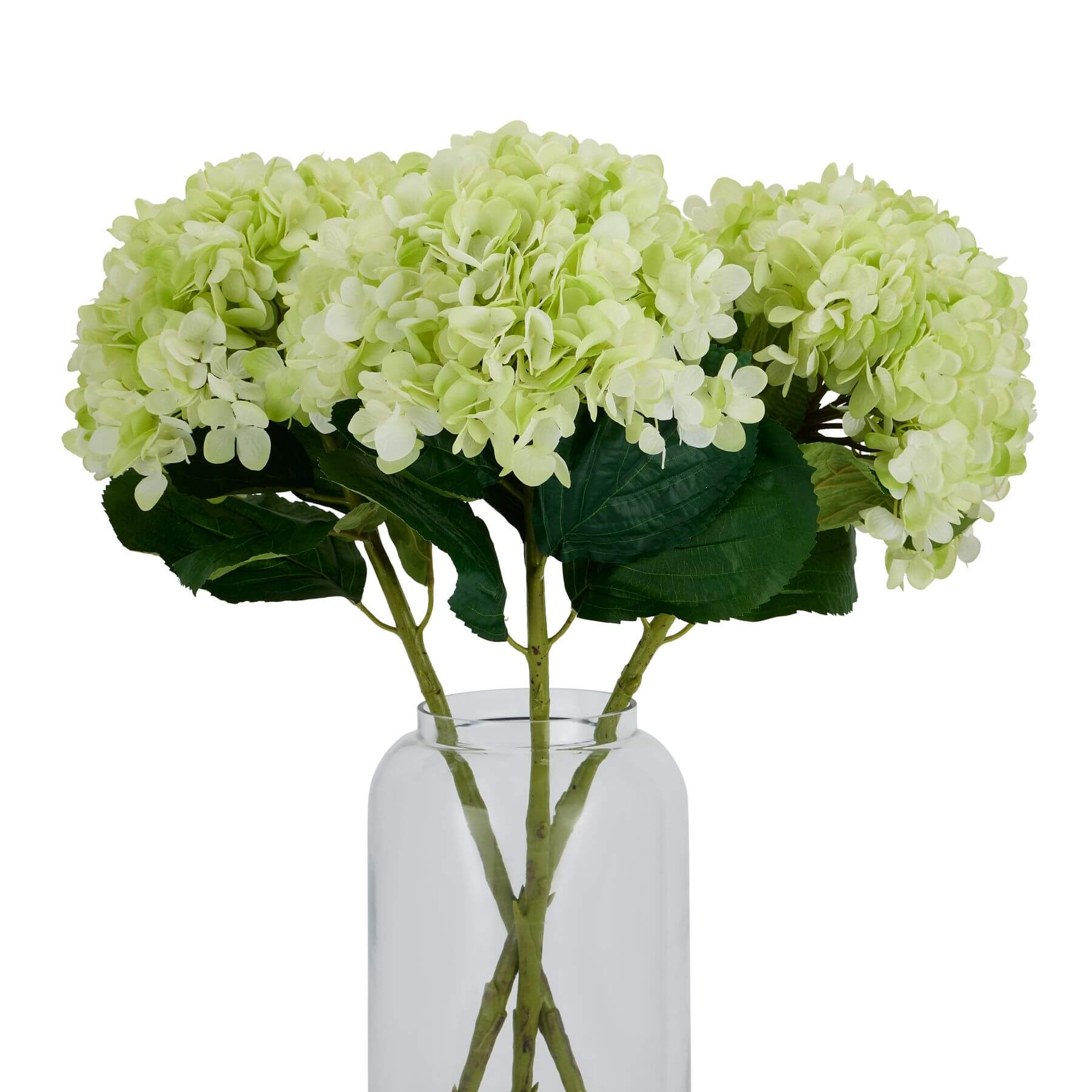 Oversized Green Hydrangea Stem Decoration