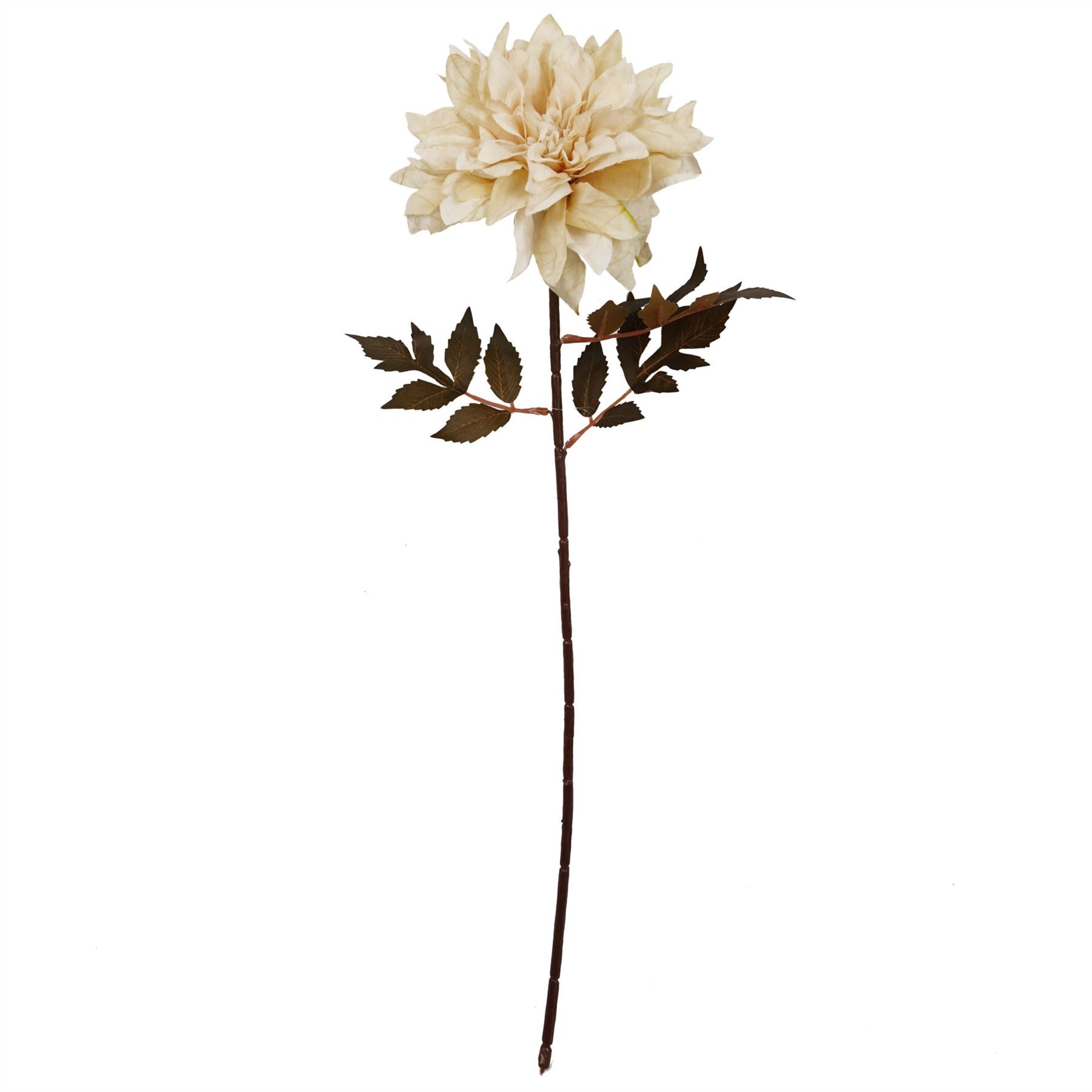 Pack of 6 x 55cm Dahlia Flower Stem - Dusty Cream-3