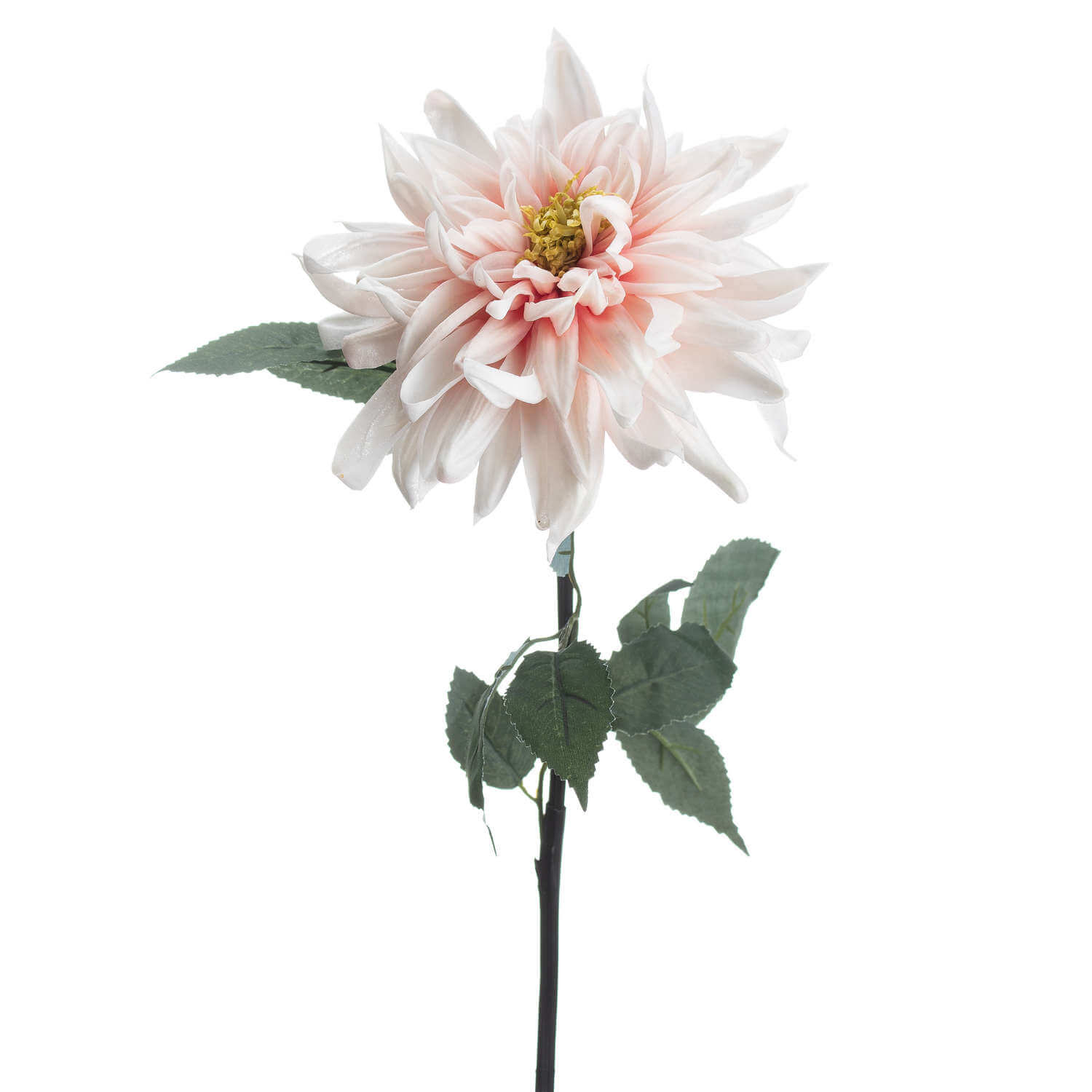 Blush Pink Dahlia Stem