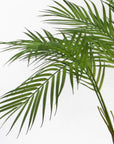 Artificial Palm Tree Areca 90cm Gold Planter Trees-2