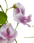 Lifelike Purple Sweetpea Stem Cottage Garden Style