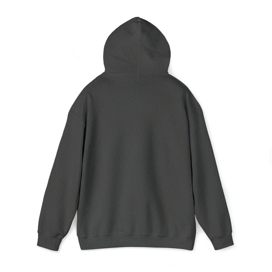 Graphic Print Unisex Hooded Sweatshirt