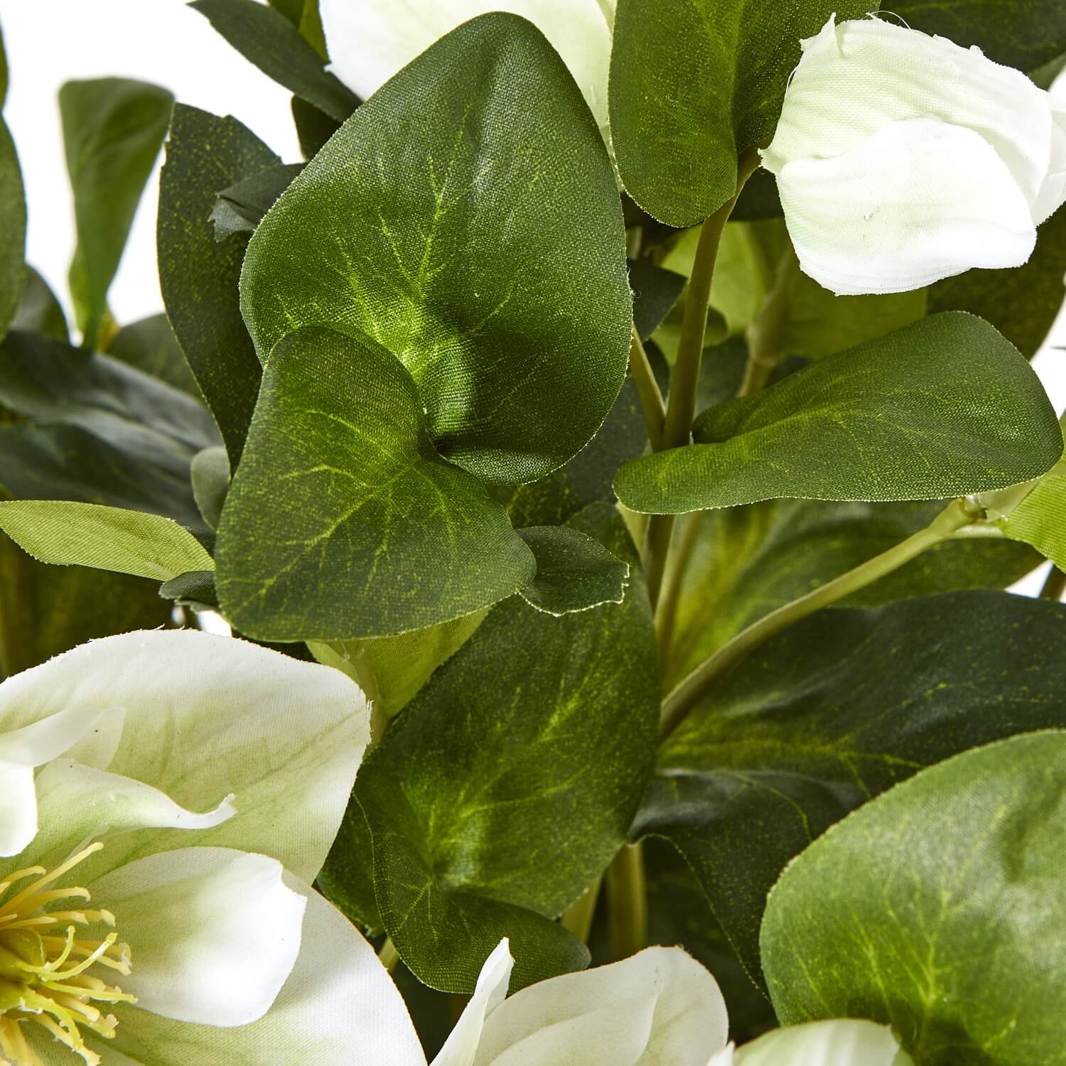 Faux White Hellebore in Ceramic Pot